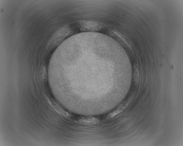 X0000081630459200702121709