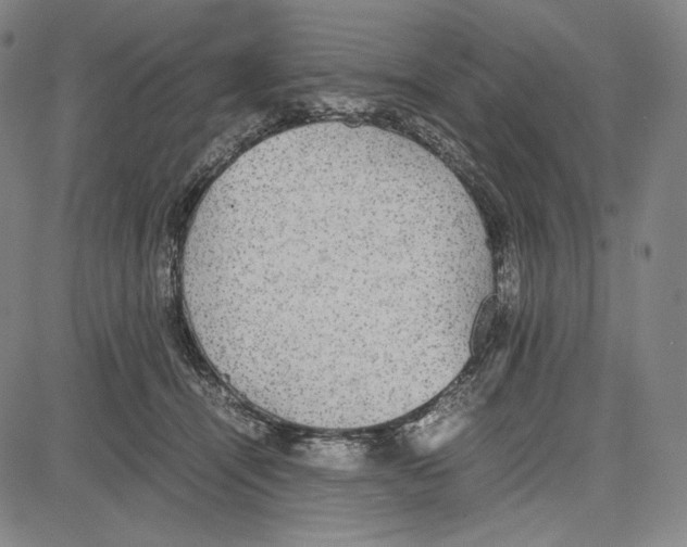 X0000081630464200702121709