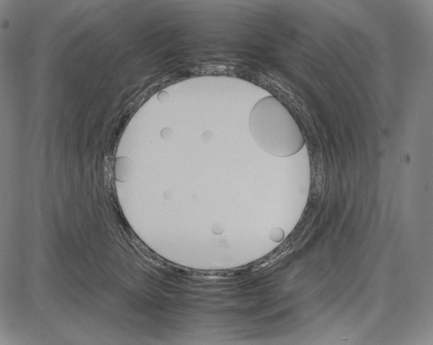 X0000081630467200702121709
