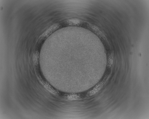 X0000081630468200702121709