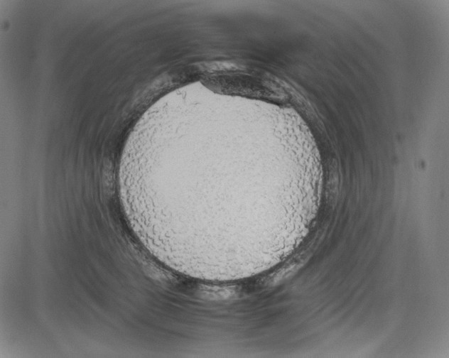 X0000081630469200702121709