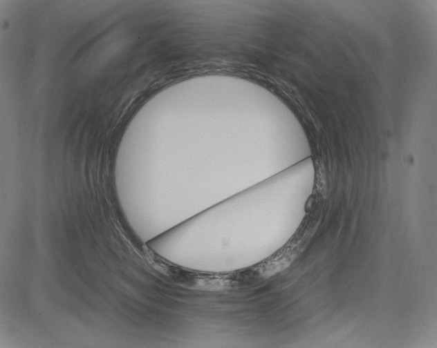 X0000081630470200702121709