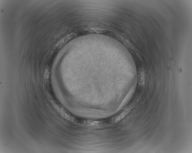 X0000081630472200702121709