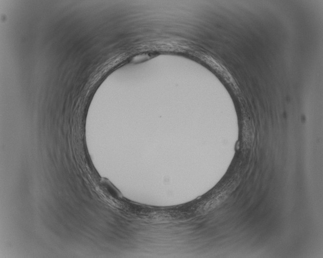 X0000081630481200702121709