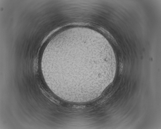 X0000081630484200702121708