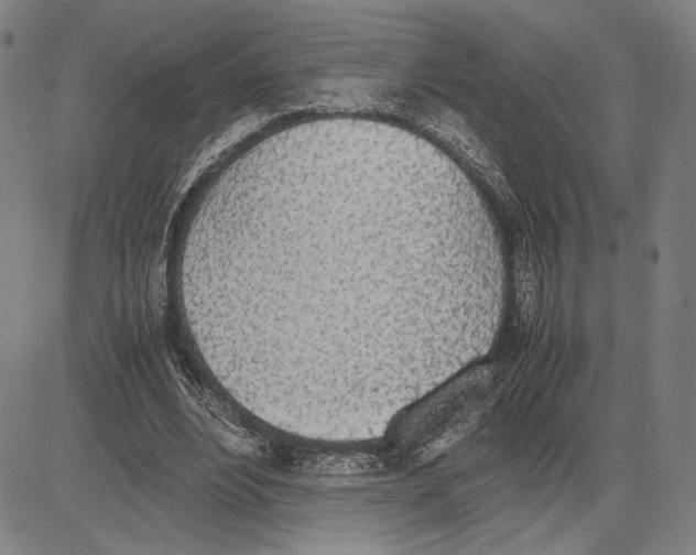 X0000081630488200702121708