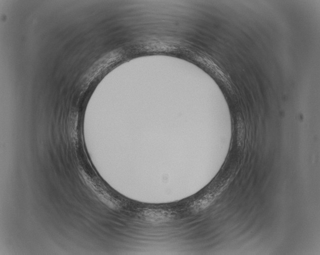 X0000081630490200702121708