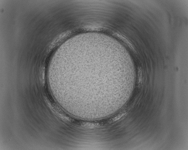 X0000081630494200702121708