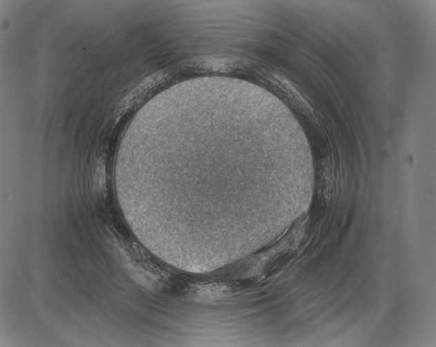 X0000081630500200702121708