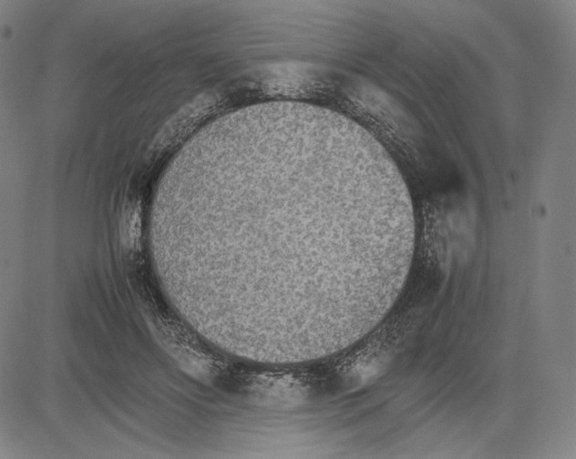 X0000081630502200702121708
