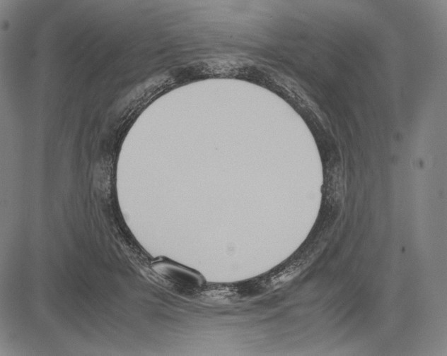 X0000081630505200702121708