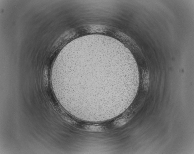 X0000081630506200702121708