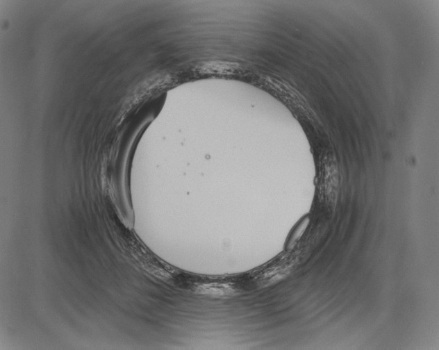 X0000081630508200702121708
