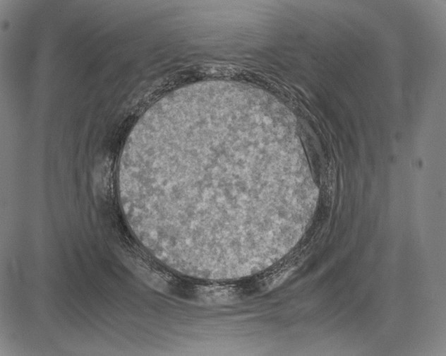 X0000081630511200702121708