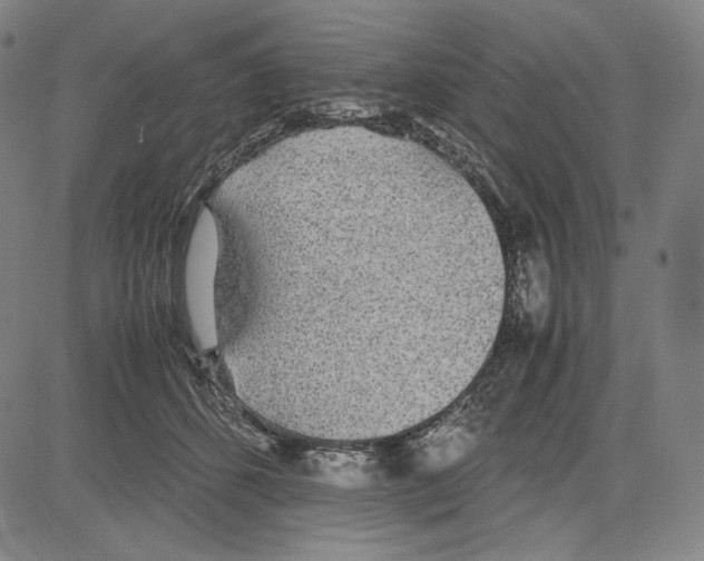 X0000081630512200702121708
