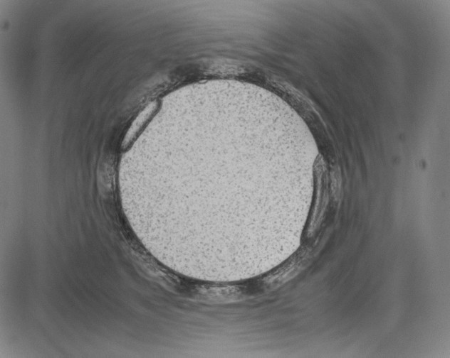 X0000081630517200702121708