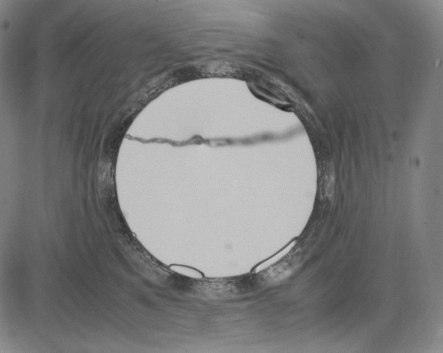 X0000081630521200702121708