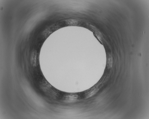 X0000081630525200702121708