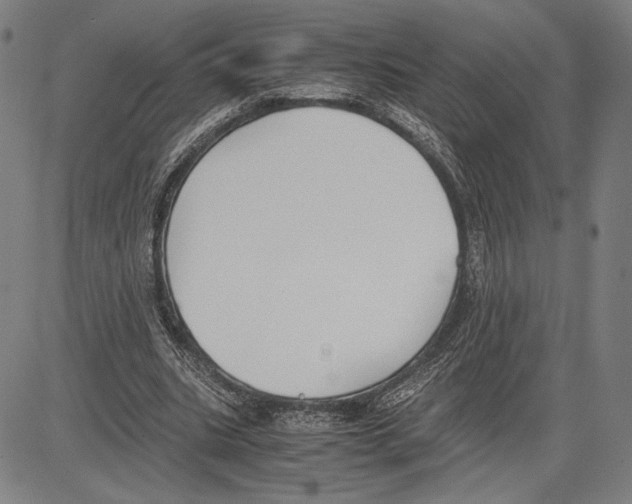 X0000081630535200702121707