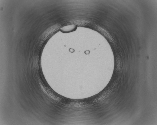 X0000081630538200702121707