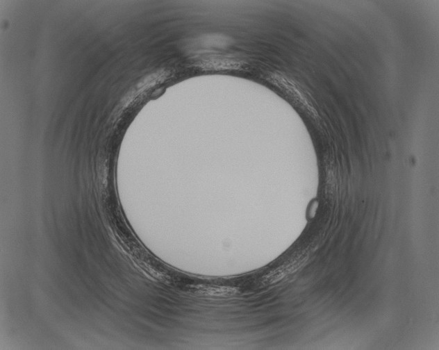 X0000081630539200702121707