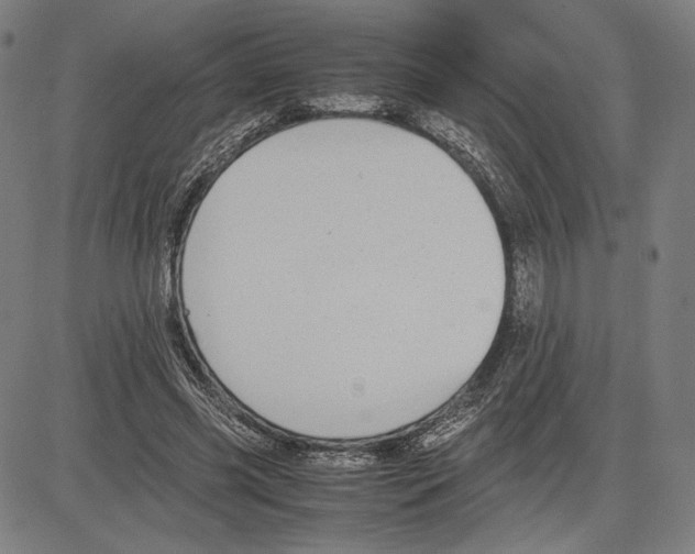 X0000081630541200702121707