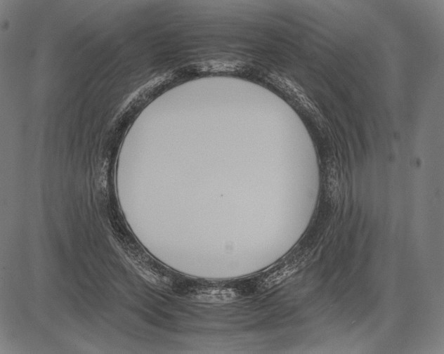 X0000081630543200702121707