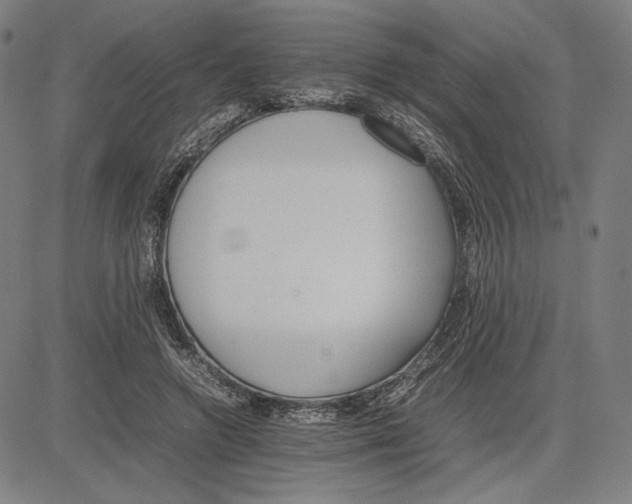 X0000081630546200702121707