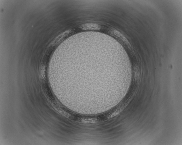 X0000081630549200702121707