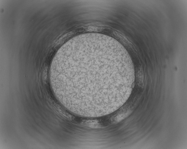 X0000081630554200702121707