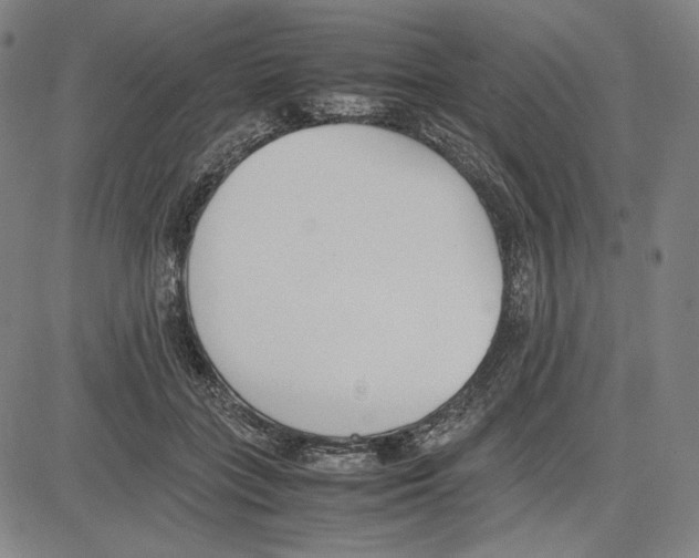 X0000081630555200702121707