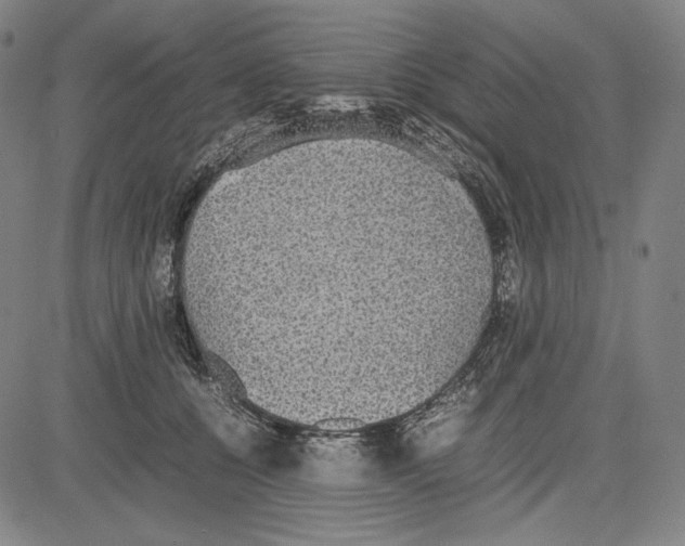 X0000081630560200702121708
