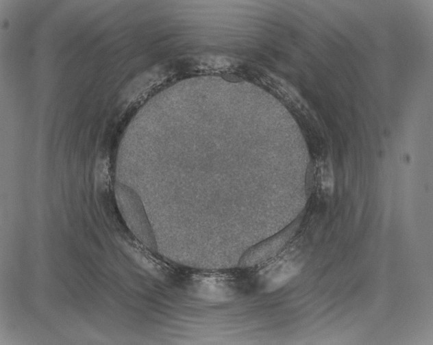 X0000081630564200702121708