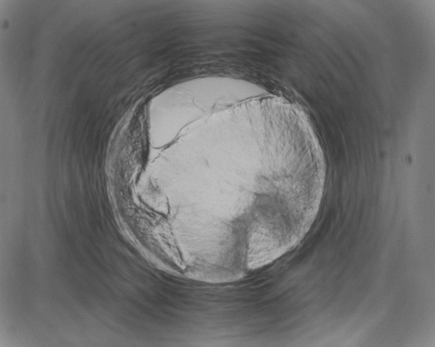 X0000081630565200702121708