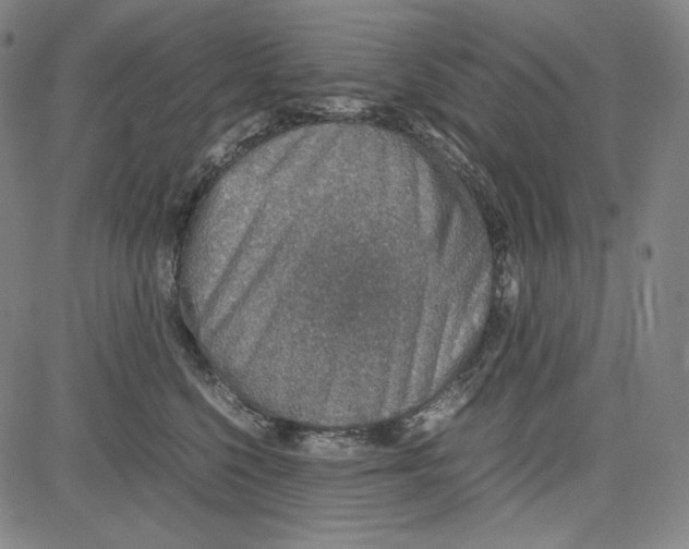 X0000081630568200702121708
