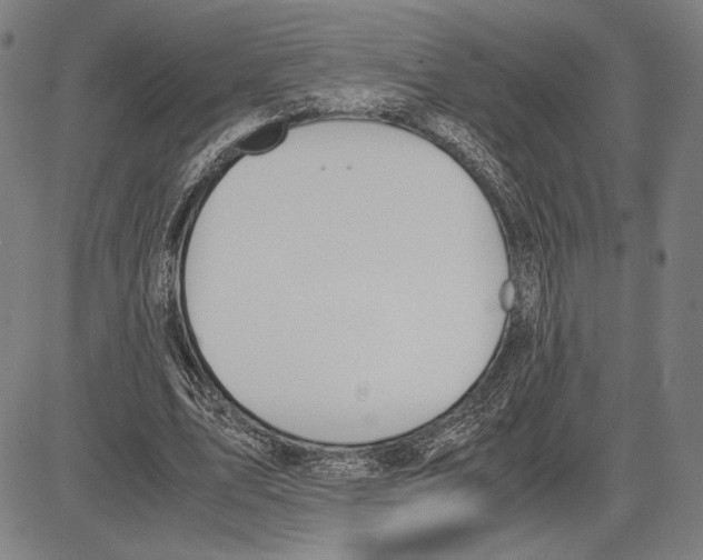 X0000081630583200702121707
