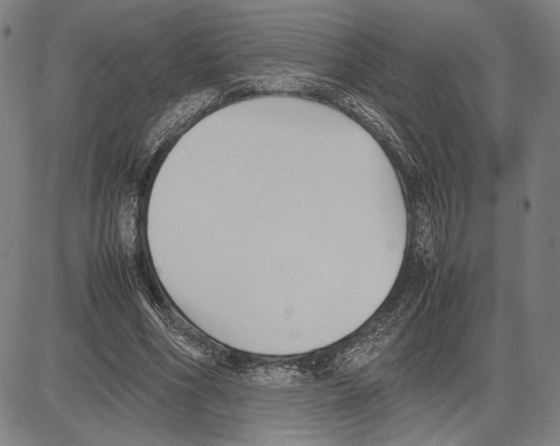 X0000081630586200702121707