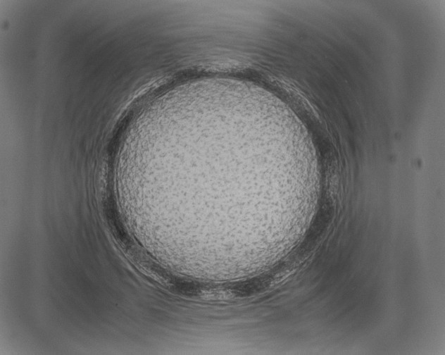 X0000081630591200702121707