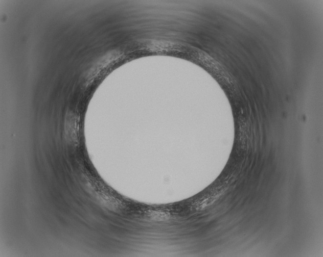 X0000081630592200702121707