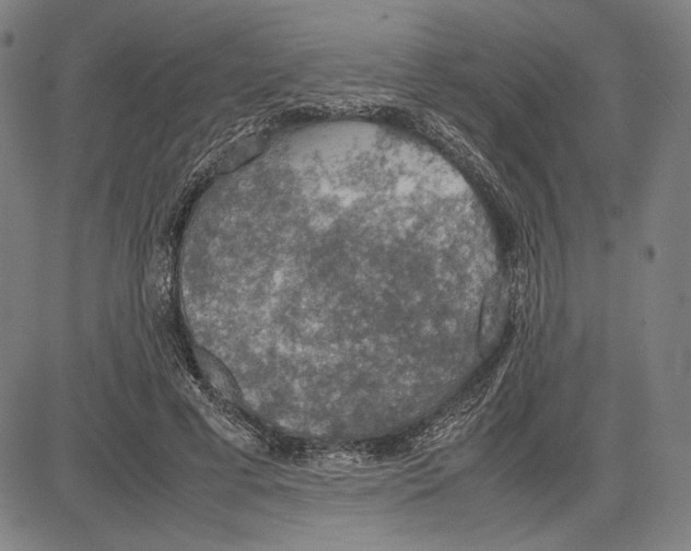 X0000081630593200702121707