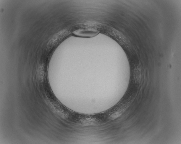 X0000081630594200702121707