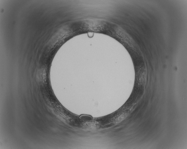 X0000081630595200702121707