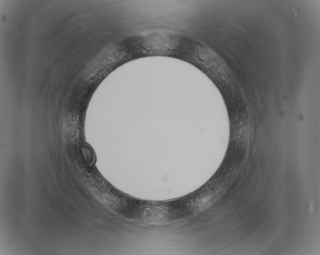 X0000081630599200702121707