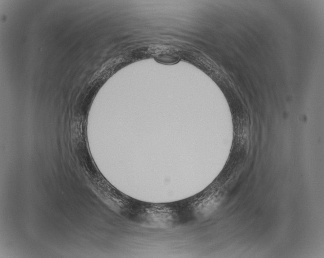X0000081630603200702121707