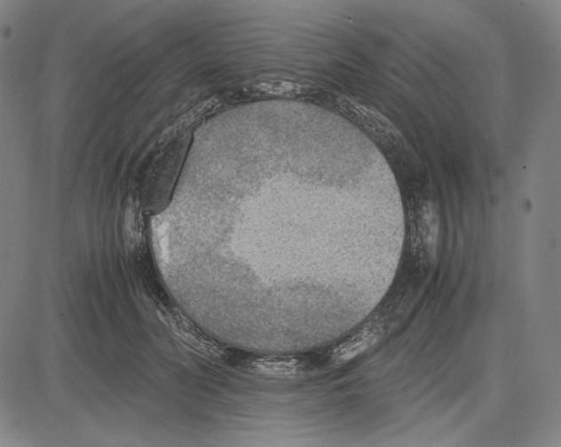X0000081630606200702121707