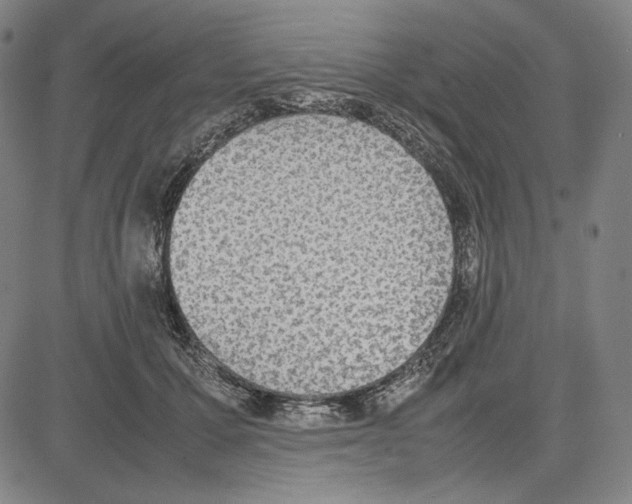 X0000081630607200702121706