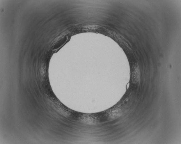 X0000081630608200702121706