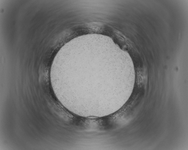 X0000081630613200702121706