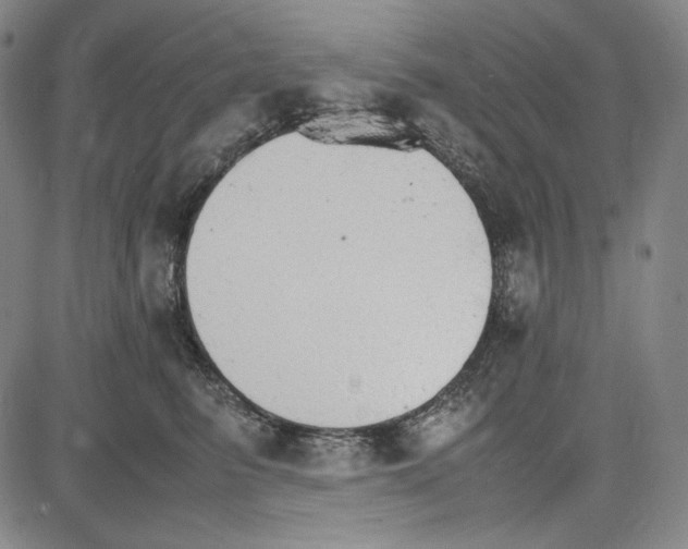 X0000081630615200702121706