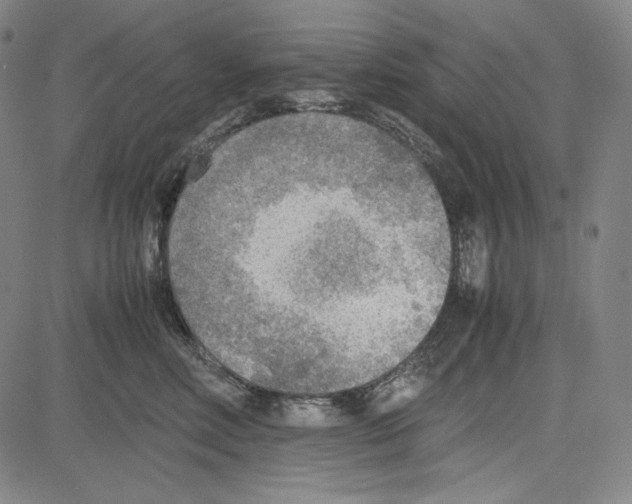 X0000081630618200702121706